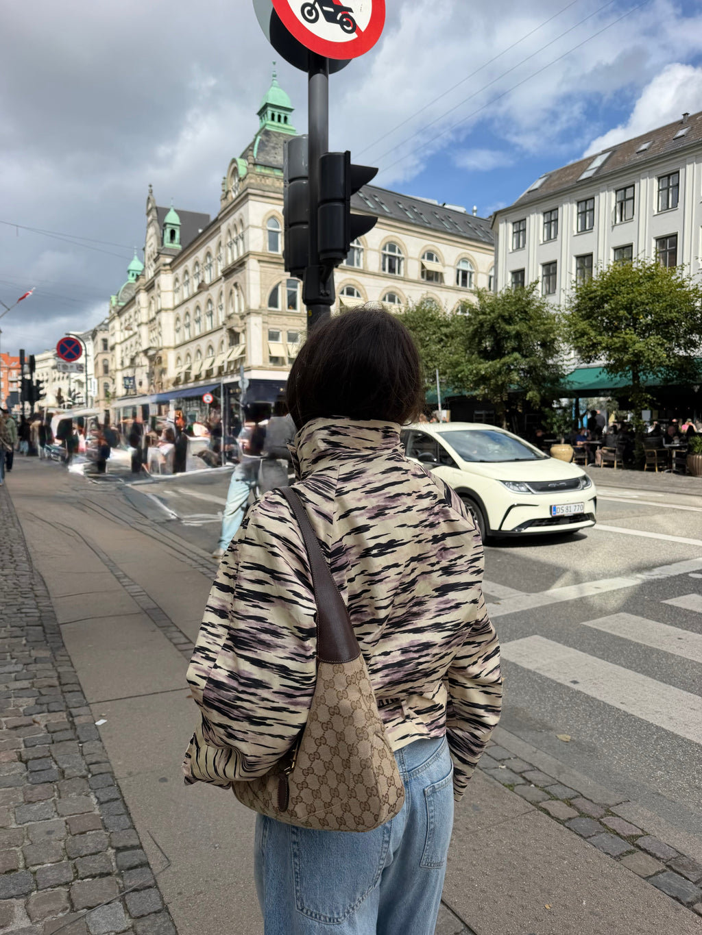 Tiger Trench Coat