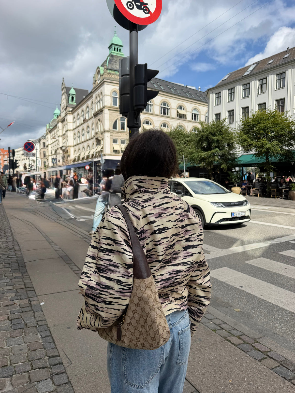 Tiger Trench Coat